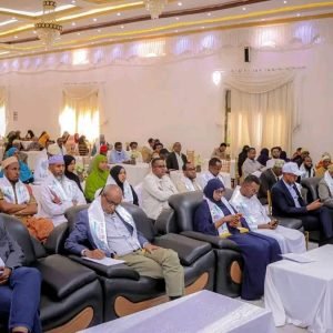 Somali Region Marks International Mother Language Day in Jigjiga